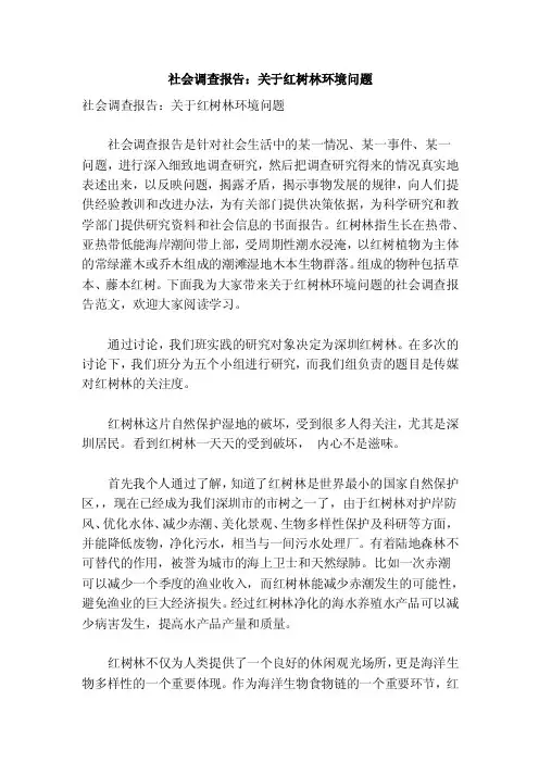 社会调查报告：关于红树林环境问题（参考）
