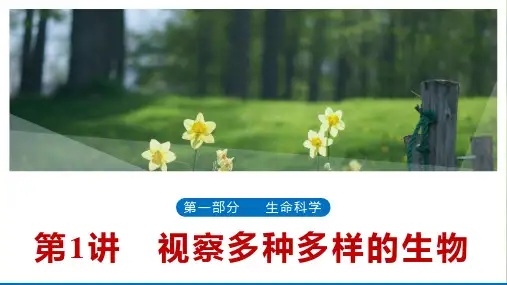 浙江省中考科学一轮复习：第1讲观察多种多样的生物(课件47张)
