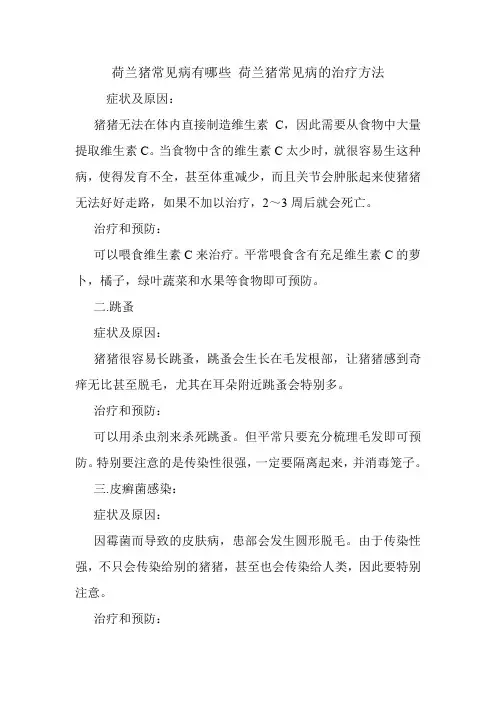 荷兰猪常见病有哪些 荷兰猪常见病的治疗方法