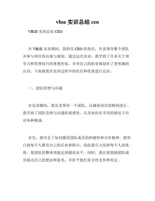 vbse实训总结ceo