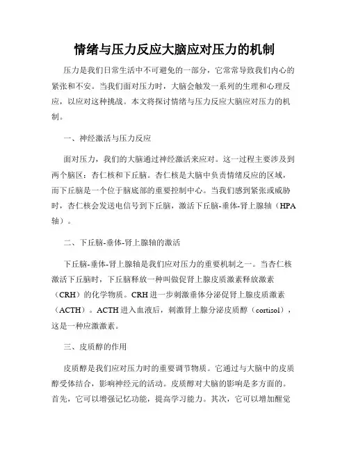 情绪与压力反应大脑应对压力的机制