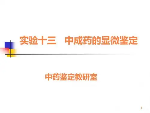 《中药鉴定学期末复习》实验十三 中成药的显微鉴定ppt课件