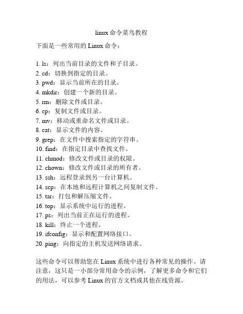 linux命令菜鸟教程
