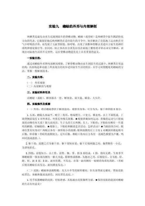 蟾蜍的外形与内部解剖