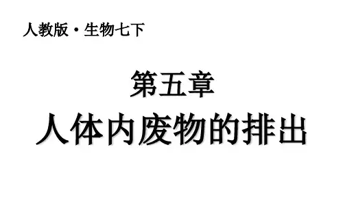 人教版七年级生物下册  人体内废物的排出  课件