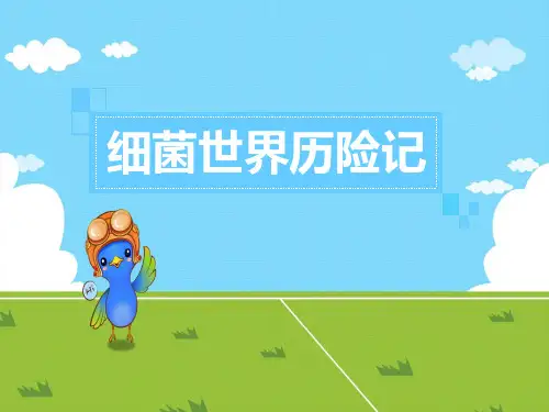统编教材四下课外书屋-细菌世界历险记整本术阅读课
