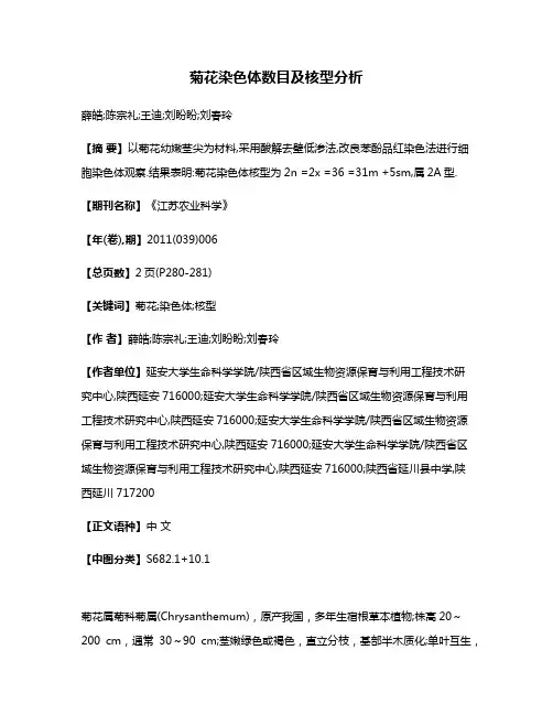 菊花染色体数目及核型分析