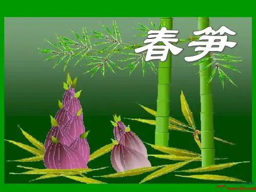 《1春笋》课件