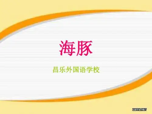 橡皮泥海豚