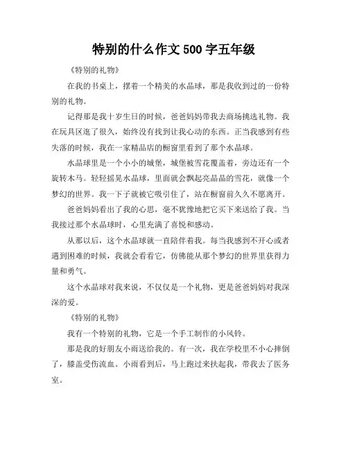 特别的什么作文500字五年级