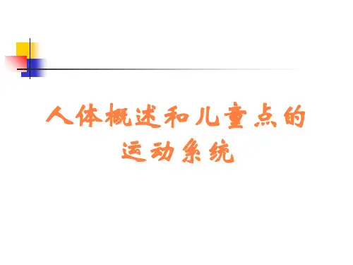 人体概述和儿童点的运动系统