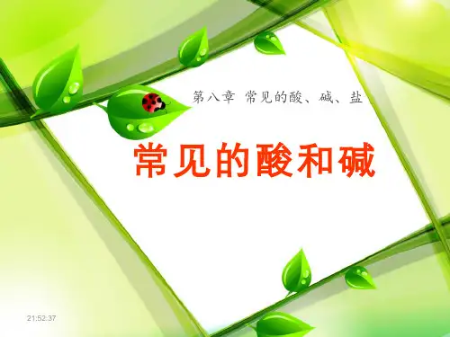 《常见的酸和碱》常见的酸、碱、盐PPT课件