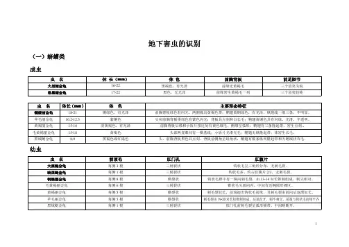 地下害虫的识别