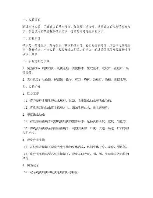 认识蠕虫实验报告