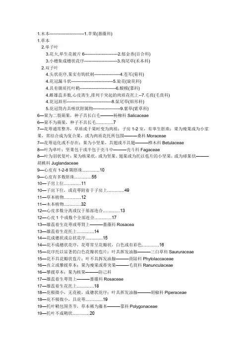 检索表