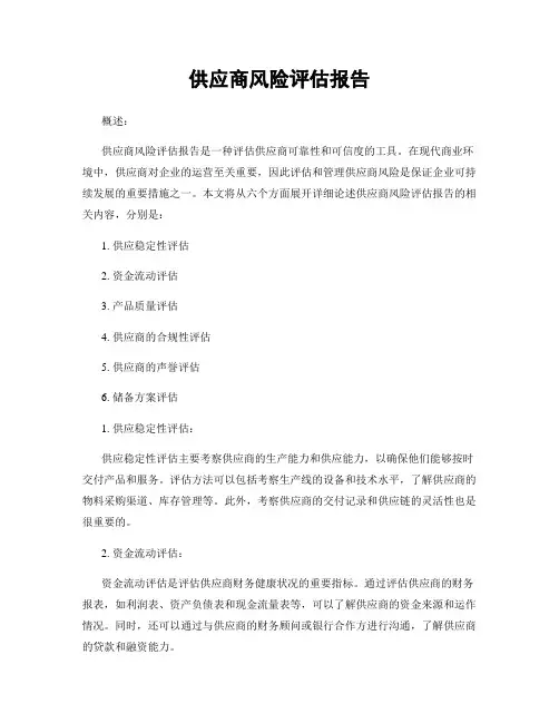 供应商风险评估报告