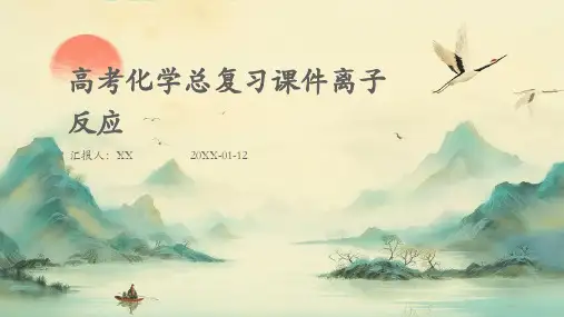 高考化学总复习课件离子反应