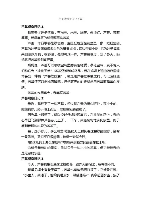 芦荟观察日记12篇