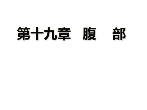 局部解剖学课件：腹部