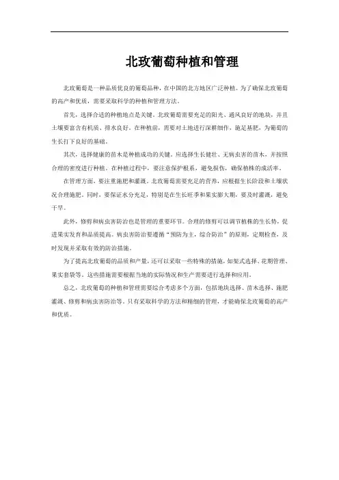 北玫葡萄种植和管理