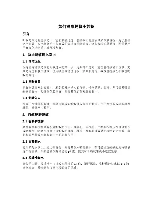 如何消除蚂蚁小妙招