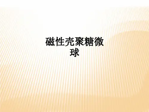 磁性壳聚糖微球ppt课件