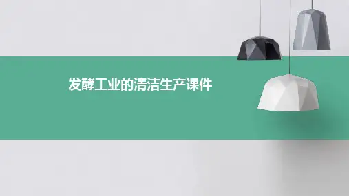 发酵工业的清洁生产课件