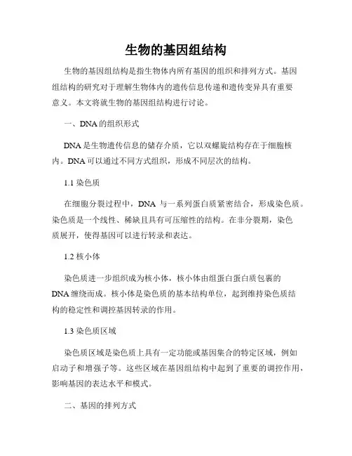 生物的基因组结构