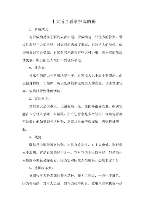十大适合看家护院的狗