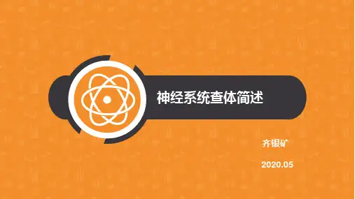 神经系统查体简述