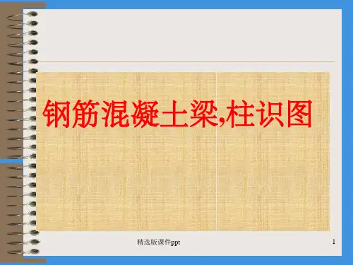梁 板 柱 结构识图