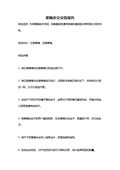 果蝇杂交实验报告