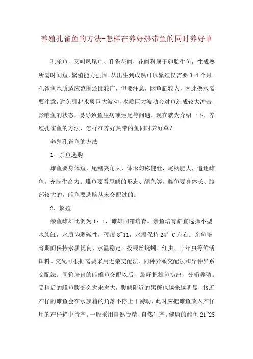 养殖孔雀鱼的方法怎样在养好热带鱼的同时养好草