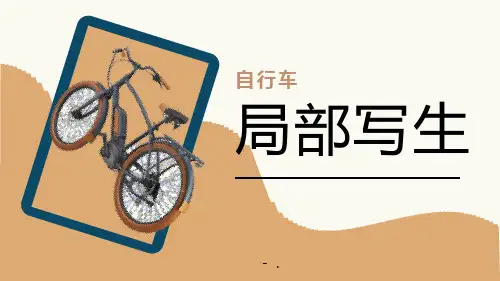 《多姿多彩的靠垫》PPT课件