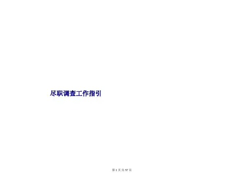 财务尽职调查指导手册(德勤).doc.ppt
