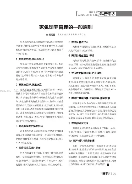 家兔饲养管理的一般原则