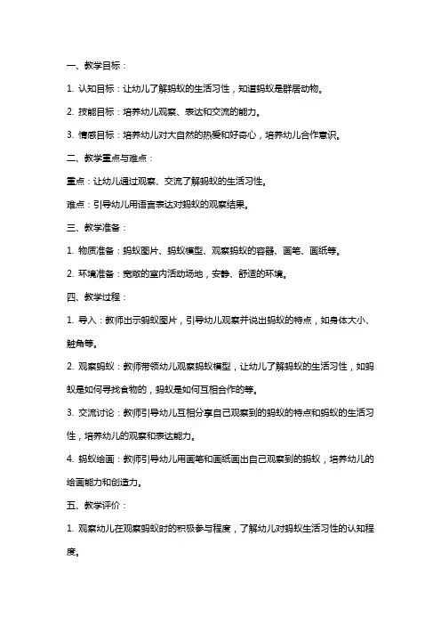 幼儿园小班语言《逗蚂蚁》教学教案设计