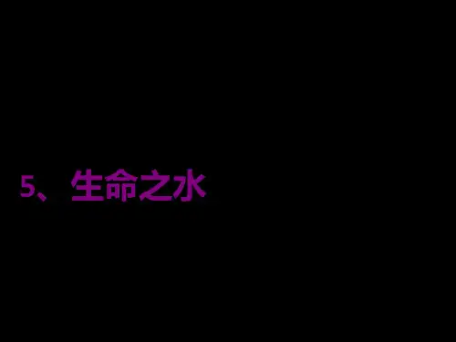 科学三年级上粤教版2.5生命之水课件(28张).ppt