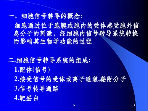 PTK信号转导途径