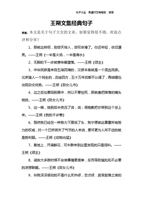王朔文集经典句子