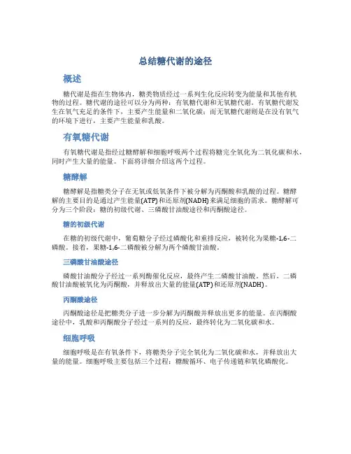 总结糖代谢的途径