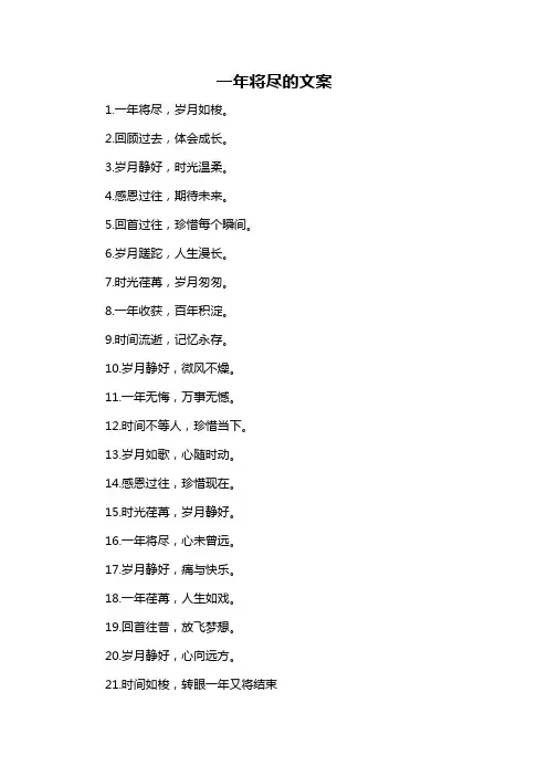 一年将尽的文案-概述说明以及解释