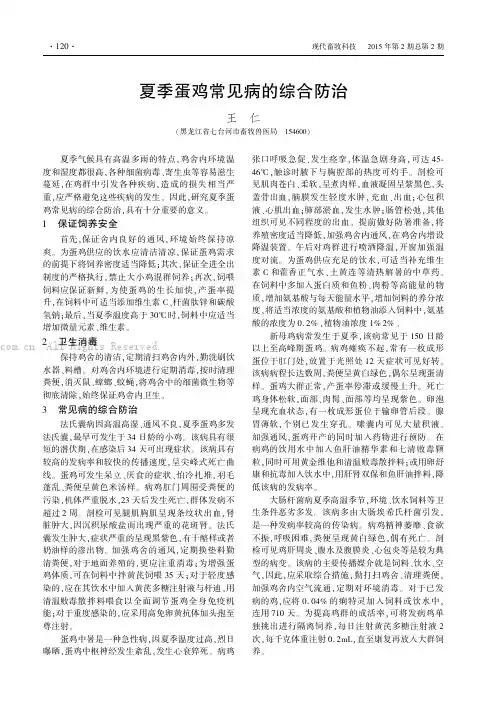 夏季蛋鸡常见病的综合防治
