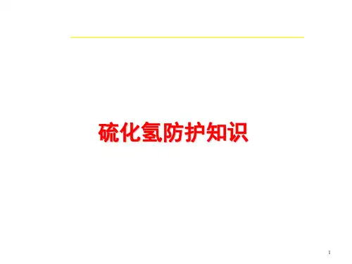 硫化氢防护知识PPT课件