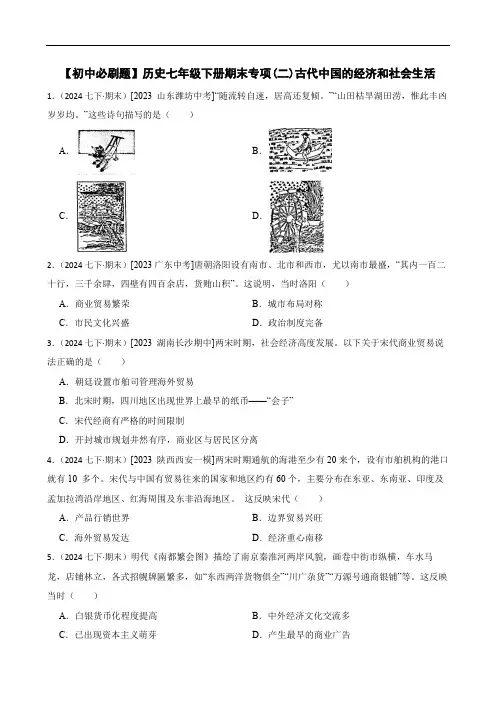 【初中必刷题】历史七年级下册期末专项(二)古代中国的经济和社会生活