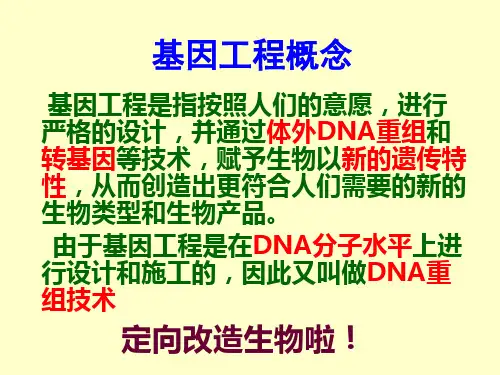 高中生物选修三复习