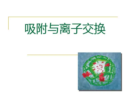 吸附课件