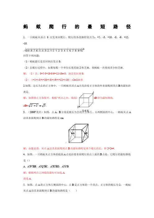 专题训练 蚂蚁爬行的最短路径(含答案)