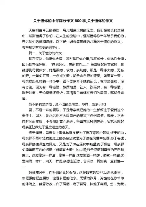 关于懂你的中考满分作文600字,关于懂你的作文