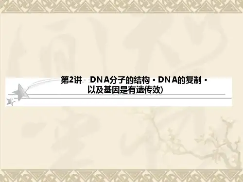届高三生物一轮复习课件3.2DNA分子的结构·DNA的复制·以及基因是有遗传效(人教版必修2)